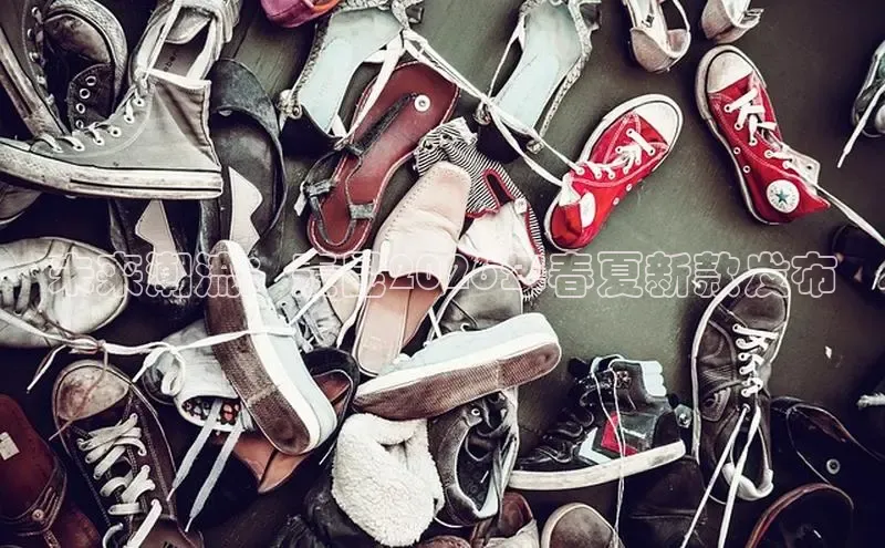 赏金国际下载链接